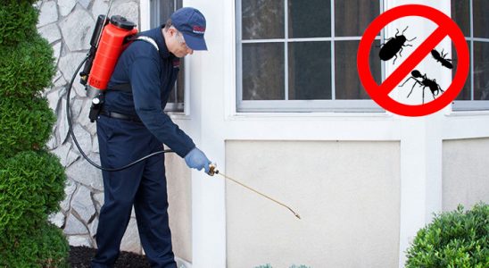 Asarlık Hamam Böceği İlaçlama böcek ilaçlama ve haşere kontrolü — ilaclama-tr.com